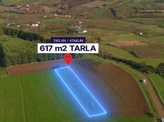 SAMSUN ATAKUM TAFLAN MAH. TEK TAPU 617m2 MÜKEMMEL KONUMDA YATIRIMLIK KUPON TARLA