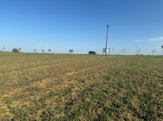 SAMSUN İLKADIM GÜRGENDAĞ MH. 6893 M2 DENİZ MANZARALI BUNGOLOVLAR BÖLGESİNDE ATA YOLUNA CEPHE ELEKTRİK YOL SU PROBLEMİ OLMAYAN FIRSAT TARLA.. 