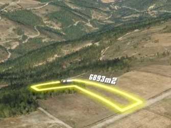 SAMSUN İLKADIM GÜRGENDAĞ MH. 6893 M2 DENİZ MANZARALI BUNGOLOVLAR BÖLGESİNDE ATA YOLUNA CEPHE ELEKTRİK YOL SU PROBLEMİ OLMAYAN FIRSAT TARLA.. 