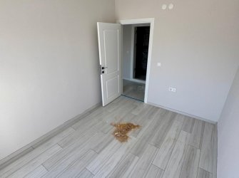 SAMSUN İLKADIM TEPECİK MH. 2+1 100 M2 EBEVEYN BANYOLU KREDİYE UYGUN FIRSAT DAİRE...