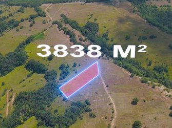 SAMSUN KAVAK TEKKE MH 3.838m2 YATIRIMLIK KAÇIRILMIYACAK FIRSAT TARLA 