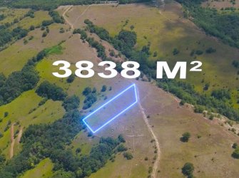 SAMSUN KAVAK TEKKE MH 3.838m2 YATIRIMLIK KAÇIRILMIYACAK FIRSAT TARLA 