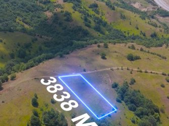 SAMSUN KAVAK TEKKE MH 3.838m2 YATIRIMLIK KAÇIRILMIYACAK FIRSAT TARLA 