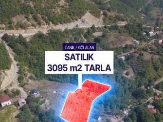 SAMSUN CANİK GÖLALAN MAH 3.095m2 FULL DOĞA MANZARALI YATIRIMLIK FIRSAT TARLA 