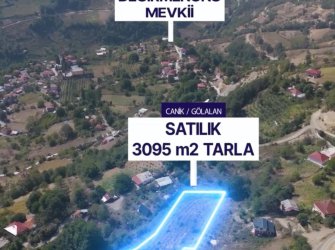 SAMSUN CANİK GÖLALAN MAH 3.095m2 FULL DOĞA MANZARALI YATIRIMLIK FIRSAT TARLA 