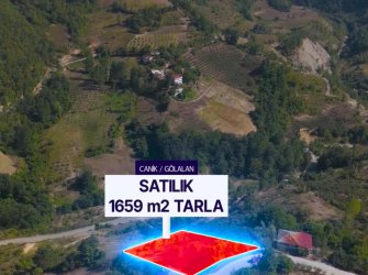 SAMSUN CANİK GÖLALAN MAH 3.095m2 FULL DOĞA MANZARALI YATIRIMLIK FIRSAT TARLA 