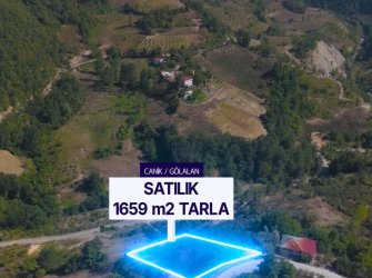 SAMSUN CANİK GÖLALAN MAH 3.095m2 FULL DOĞA MANZARALI YATIRIMLIK FIRSAT TARLA 
