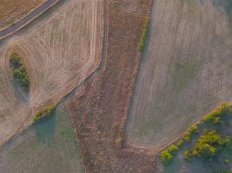 SAMSUN 19 MAYIS DAĞKÖY MAH 4.570m2 MÜKEMMEL KONUMDA YATIRIMLIK TARLA 