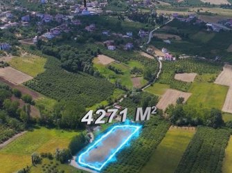 SAMSUN ATAKUM TAFLAN MAH 4.271m2 YOLU AÇIK DENİZ MANZARALI FIRSAT YATIRIMLIK TARLA 