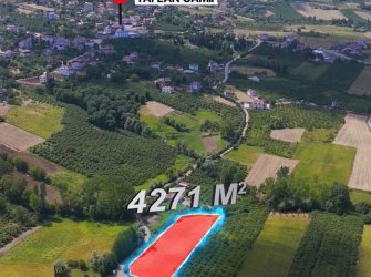 SAMSUN ATAKUM TAFLAN MAH 4.271m2 YOLU AÇIK DENİZ MANZARALI FIRSAT YATIRIMLIK TARLA 