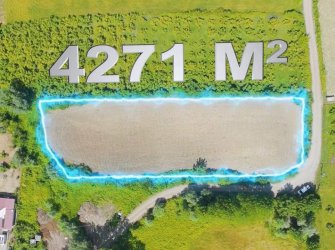SAMSUN ATAKUM TAFLAN MAH 4.271m2 YOLU AÇIK DENİZ MANZARALI FIRSAT YATIRIMLIK TARLA 