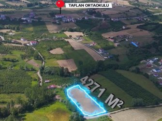SAMSUN ATAKUM TAFLAN MAH 4.271m2 YOLU AÇIK DENİZ MANZARALI FIRSAT YATIRIMLIK TARLA 