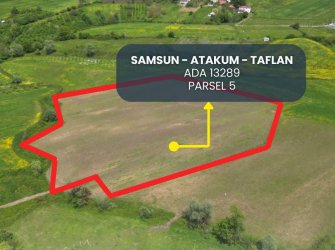 SAMSUN ATAKUM TAFLAN MAH 15.000m2 YOLU AÇIK DENİZ VE DOĞA MANZARALI FIRSAT TARLA 