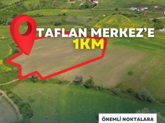 SAMSUN ATAKUM TAFLAN MAH 15.000m2 YOLU AÇIK DENİZ VE DOĞA MANZARALI FIRSAT TARLA 