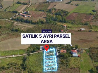 SAMSUN ATAKUM TAFLAN MERKEZ MAH YOL-DOĞALGAZ MEVCUT 5 AYRI SATILIK YATIRIMLIK PARSEL