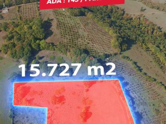 SAMSUN 19 MAYIS BEYLİK MAH 15.727m2 TEK TAPU RESMİ YOLA CEPHE YATIRIMLIK KÖŞE PARSEL TARLA 