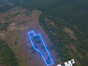 SAMSUN KAVAK ÇAKALLI MH 10.178m2 YATIRIMLIK KUPON TARLA 