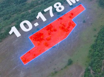 SAMSUN KAVAK ÇAKALLI MH 10.178m2 YATIRIMLIK KUPON TARLA 