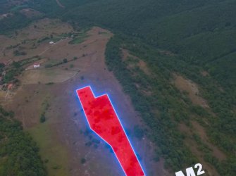 SAMSUN KAVAK ÇAKALLI MH 10.178m2 YATIRIMLIK KUPON TARLA 