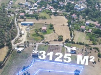 SAMSUN İLKADIM KAPAKLI MAH 3.125m2 MÜKEMMEL KONUMDA YATIRIMLIK DOĞA MANZARALI FIRSAT TARLA 