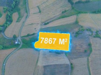 SAMSUN İLKADIM KAPAKLI MAH 7.867m2 YOLU AÇIK DOĞA MANZARALI YATIRIMLIK FIRSAT TARLA 