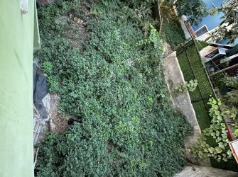 SAMSUN İLKADIM LİMAN MAH 152m2 ARSA ÜZERİNDE CADDEYE CEPHE 3 KATLI KOMPLE SATILIK DOĞALGAZLI BİNA  ( 5 KAT İMARLI )