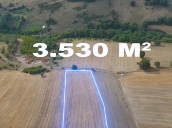 SAMSUN ATAKUM ALANLI MAH 3.530 m2 ALAN İÇERİSİNDE YATIRIMLIK FIRSAT 66m2 ACİL SATILIK TARLA