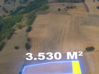 SAMSUN ATAKUM ALANLI MAH 3.530 m2 ALAN İÇERİSİNDE YATIRIMLIK FIRSAT 66m2 ACİL SATILIK TARLA