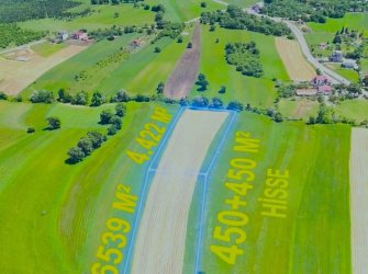 SAMSUN ATAKUM KARAOYUMCA MAH 900m2 (HİSSE) YOLA CEPHE FIRSAT TARLA