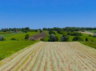 SAMSUN ATAKUM KARAOYUMCA MAH 900m2 (HİSSE) YOLA CEPHE FIRSAT TARLA