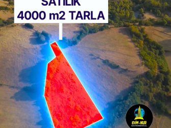 SAMSUN 19 MAYIS DAĞKÖY MAH 4.000m2 BAĞ EVİ YAPILABİLİR YATIRIMLIK TARLA 