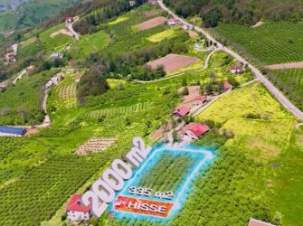 SAMSUN CANİK GÜRGENYATAK MAH 2.000m2 İÇERİSİNDE 335m2 HİSSE 7.KAT İMARLI DOĞA MANZARALI FIRSAT ARSA 