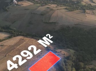 SAMSUN 19 MAYIS DAĞKÖY MAH 4.292m2 MANZARALI KADASTRO YOLU AÇIK YATIRIMLIK TARLA 