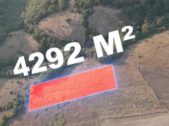 SAMSUN 19 MAYIS DAĞKÖY MAH 4.292m2 MANZARALI KADASTRO YOLU AÇIK YATIRIMLIK TARLA 