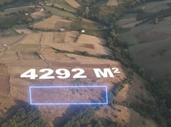 SAMSUN 19 MAYIS DAĞKÖY MAH 4.292m2 MANZARALI KADASTRO YOLU AÇIK YATIRIMLIK TARLA 