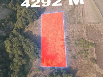 SAMSUN 19 MAYIS DAĞKÖY MAH 4.292m2 MANZARALI KADASTRO YOLU AÇIK YATIRIMLIK TARLA 