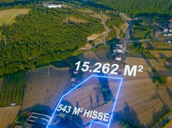 SAMSUN ATAKUM İNCESU MAH MÜKEMMEL KONUMDA 15.262M2 TARLA İÇİNDE 543m2 SATILIK YATIRIMLIK HİSSE 