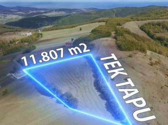 SAMSUN ATAKUM KULACADAĞ MH.    11.807 M2 ELEKTRİK, YOL, SU PROBLEMİ OLMAYAN 220 METRE KADASTROL YOLA CEPHESİ BULANAN EV YAPIMINA UYGUN FIRSAT TARLA
