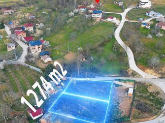 SAMSUN CANİK GÖLALAN MAH 1273m2 YOLA CEPHE YATIRIMLIK KUPON TARLA