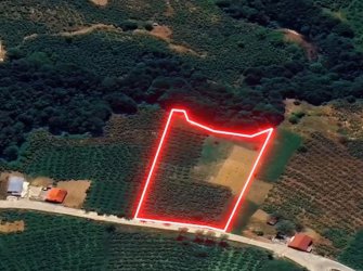 SAMSUN ATAKUM ERİKLİ MAH YOLA CEPHE YATIRIMLIK MÜKEMMEL KONUMDA 6.500m2 KUPON TARLA