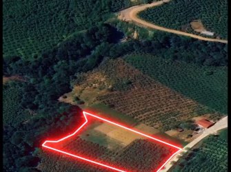 SAMSUN ATAKUM ERİKLİ MAH YOLA CEPHE YATIRIMLIK MÜKEMMEL KONUMDA 6.500m2 KUPON TARLA