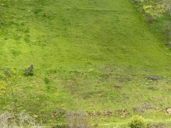 SAMSUN ATAKUM KURUGÖKÇE MAH 535m2 2.KAT İMARLI DOĞA MANZARALI YATIRIMLIK FIRSAT TARLA 
