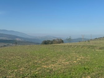 SAMSUN İLKADIM GÜRGENDAĞ MH. 6893 M2 DENİZ MANZARALI BUNGOLOVLAR BÖLGESİNDE ATA YOLUNA CEPHE ELEKTRİK YOL SU PROBLEMİ OLMAYAN FIRSAT TARLA.. 