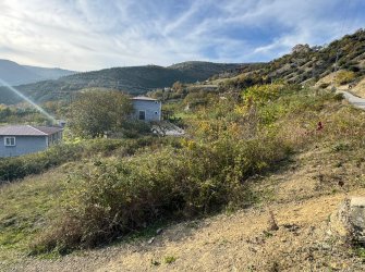 SAMSUN İLKADIM AŞAĞIAVDAN MH. 8.000 M2 IRMAK KENARINDA YOLA CEPHE ELEKTRİK YOL SU PROBLEMİ YOK BUNGALOV İÇİN MÜKEMMEL LOKASYONDA FIRSAT TARLA..