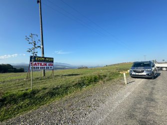 SAMSUN İLKADIM GÜRGENDAĞ MH. 6893 M2 DENİZ MANZARALI BUNGOLOVLAR BÖLGESİNDE ATA YOLUNA CEPHE ELEKTRİK YOL SU PROBLEMİ OLMAYAN FIRSAT TARLA.. 