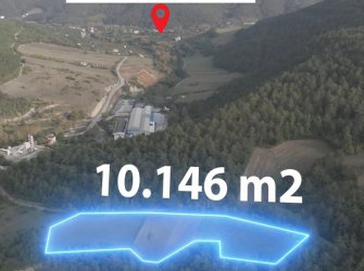 SAMSUN ATAKUM KULACADAĞ MAHALLESİ YATIRIMLIK KUPON TARLA