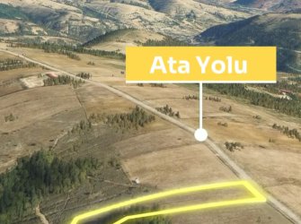 SAMSUN İLKADIM GÜRGENDAĞ MH. 6893 M2 DENİZ MANZARALI BUNGOLOVLAR BÖLGESİNDE ATA YOLUNA CEPHE ELEKTRİK YOL SU PROBLEMİ OLMAYAN FIRSAT TARLA.. 