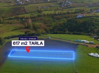 SAMSUN ATAKUM TAFLAN MAH. TEK TAPU 617m2 MÜKEMMEL KONUMDA YATIRIMLIK KUPON TARLA