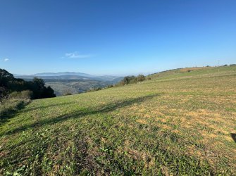 SAMSUN İLKADIM GÜRGENDAĞ MH. 6893 M2 DENİZ MANZARALI BUNGOLOVLAR BÖLGESİNDE ATA YOLUNA CEPHE ELEKTRİK YOL SU PROBLEMİ OLMAYAN FIRSAT TARLA.. 