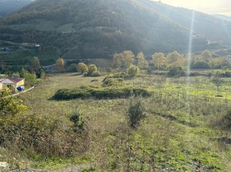 SAMSUN İLKADIM AŞAĞIAVDAN MH. 8.000 M2 IRMAK KENARINDA YOLA CEPHE ELEKTRİK YOL SU PROBLEMİ YOK BUNGALOV İÇİN MÜKEMMEL LOKASYONDA FIRSAT TARLA..